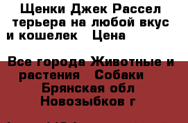 Щенки Джек Рассел терьера на любой вкус и кошелек › Цена ­ 13 000 - Все города Животные и растения » Собаки   . Брянская обл.,Новозыбков г.